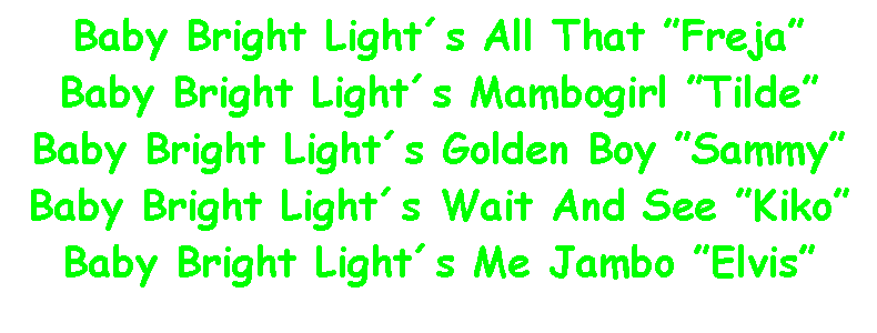 Text Box: Baby Bright Lights All That FrejaBaby Bright Lights Mambogirl TildeBaby Bright Lights Golden Boy SammyBaby Bright Lights Wait And See KikoBaby Bright Lights Me Jambo Elvis