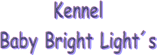Kennel
Baby Bright Lights
